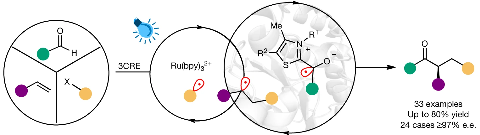 Graphical abstract for synergistic triple radical sorting