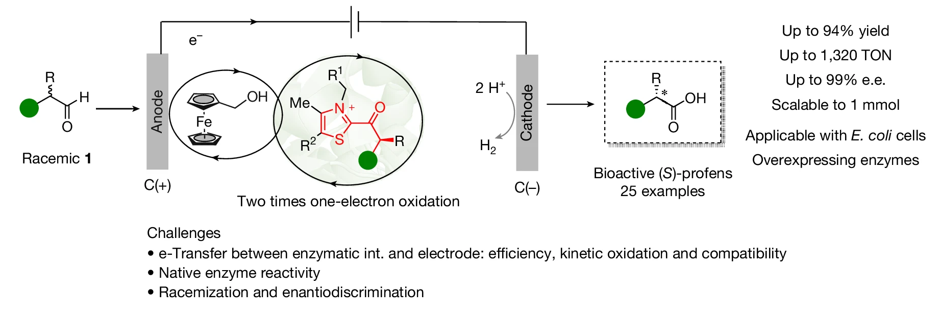 Graphical abstract for electricity-driven enzymatic dynamic kinetic oxidation