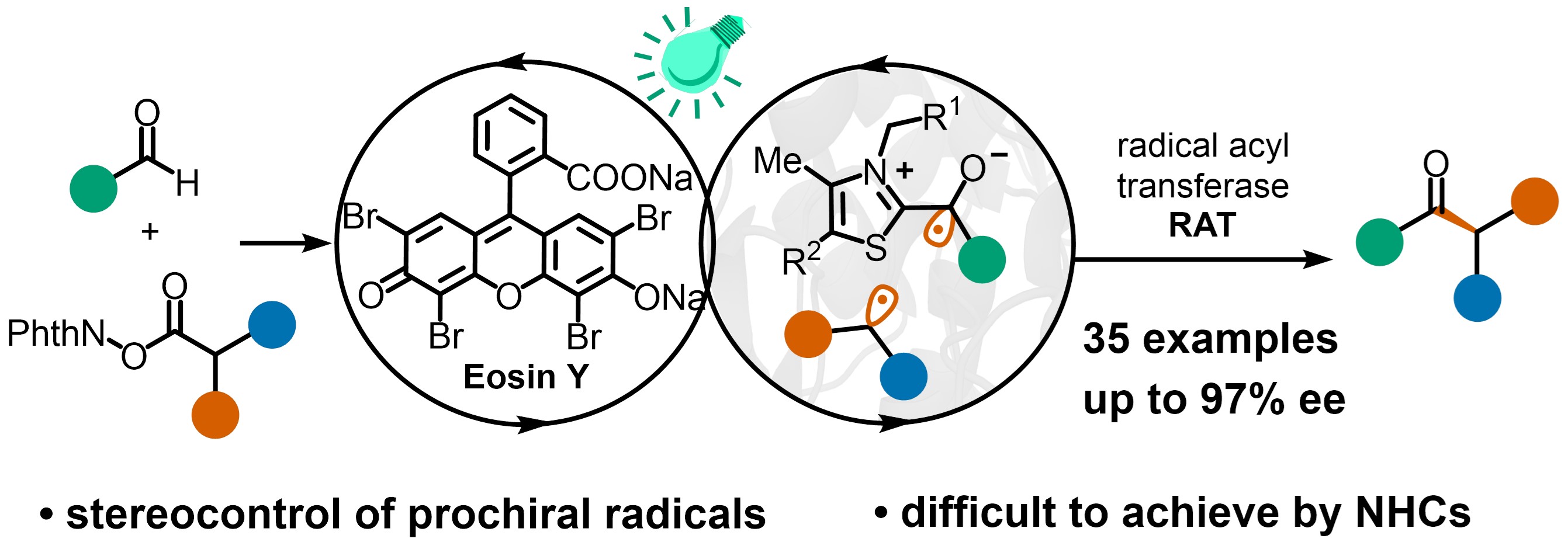 Graphical abstract for light-driven enzymatic radical acylation