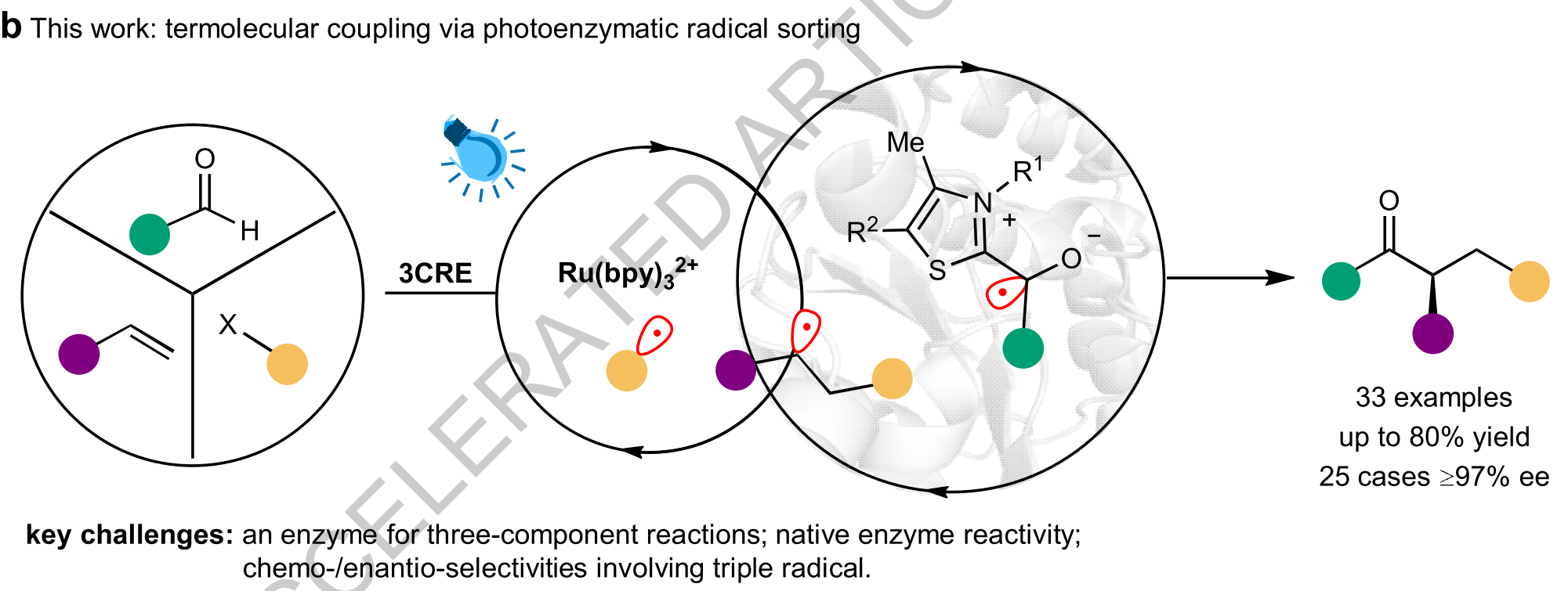 Graphical abstract for synergistic triple radical sorting